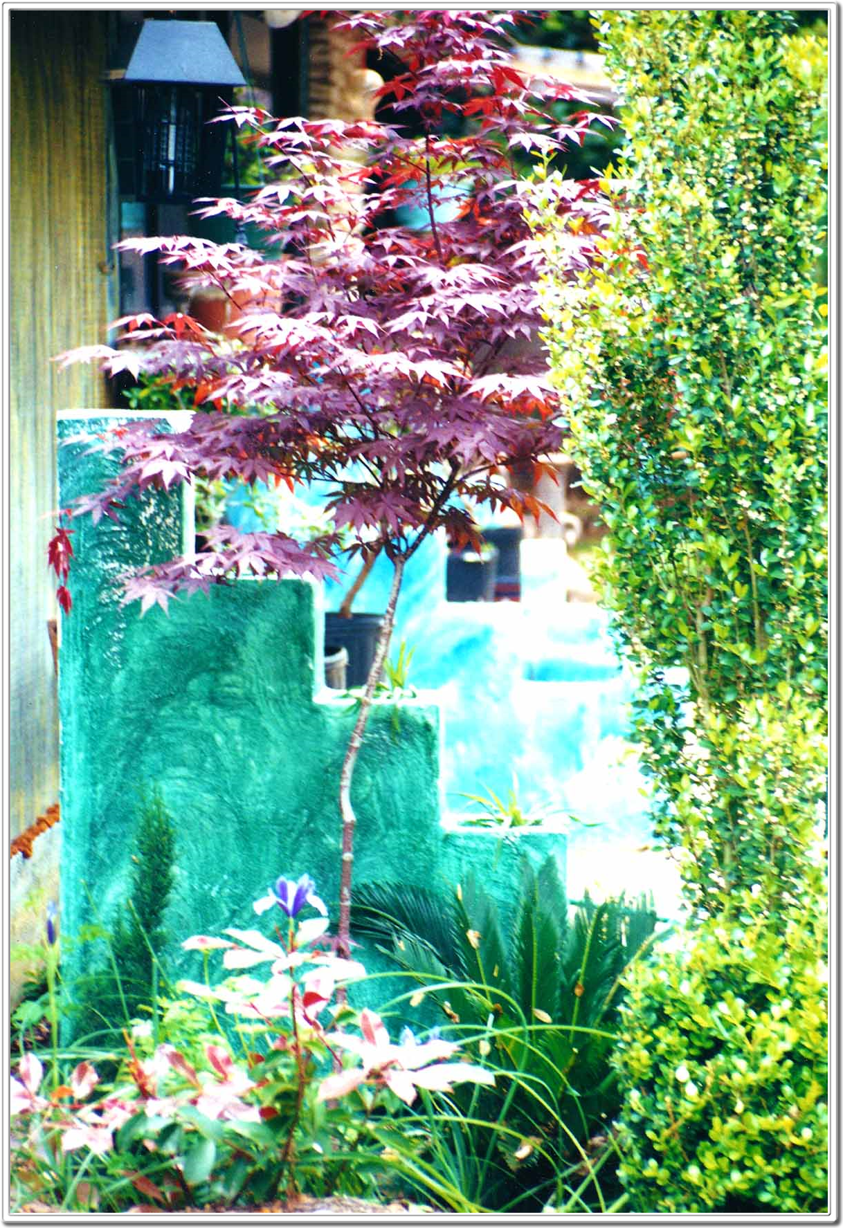 ARTE GARDEN  by Dapacu