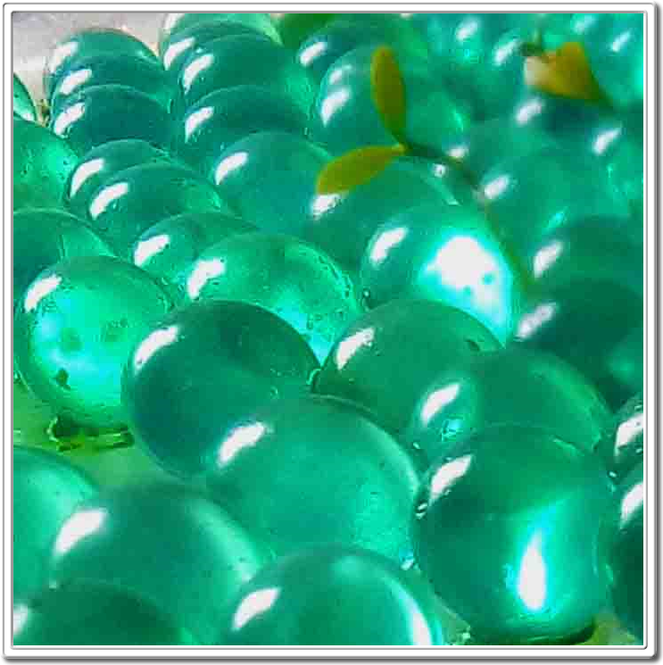 waterbeads