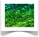 Abstract Art Gallery