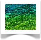 Most Expensive Painting Ever Sold