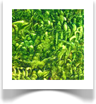 United Kingdom Art Galleries